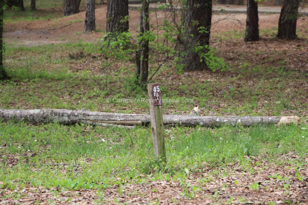 Photo of Campsite 45 in Tishomingo State Park Campground at Tishomingo